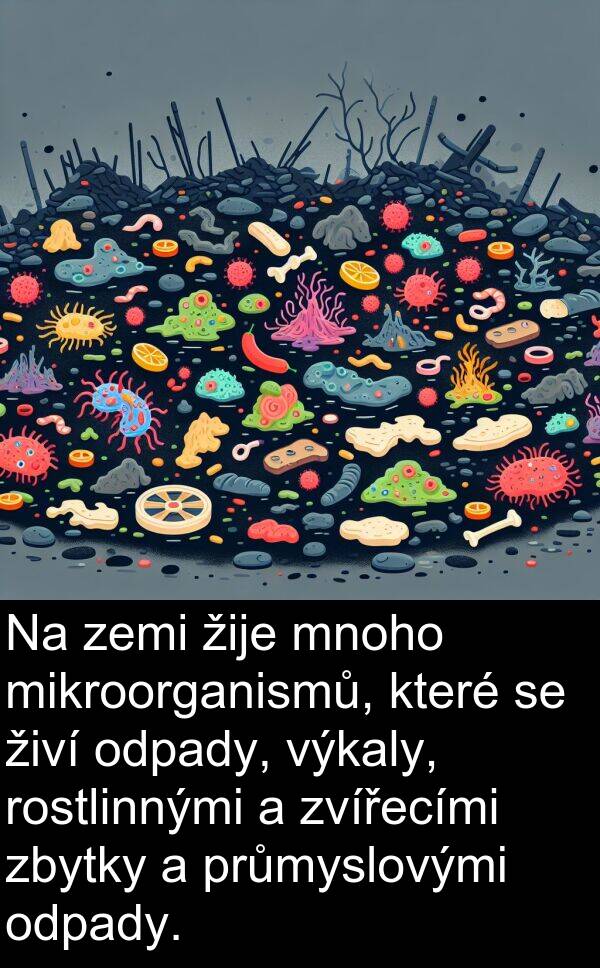 živí: Na zemi žije mnoho mikroorganismů, které se živí odpady, výkaly, rostlinnými a zvířecími zbytky a průmyslovými odpady.