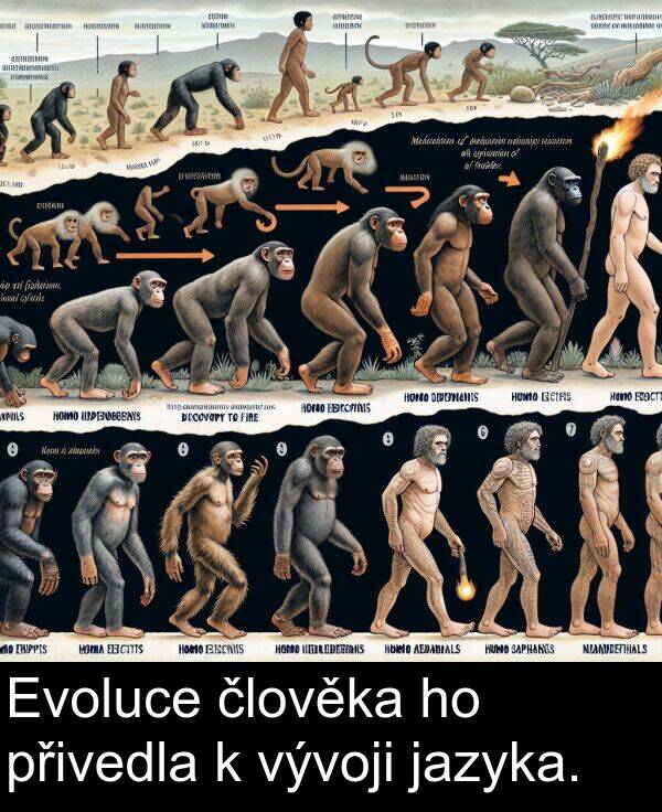 člověka: Evoluce člověka ho přivedla k vývoji jazyka.
