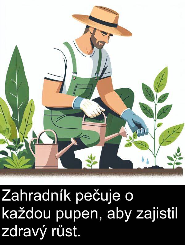 zdravý: Zahradník pečuje o každou pupen, aby zajistil zdravý růst.