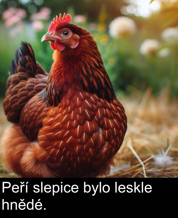 bylo: Peří slepice bylo leskle hnědé.