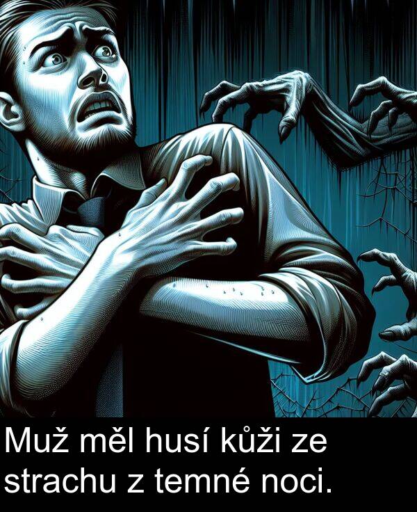 strachu: Muž měl husí kůži ze strachu z temné noci.