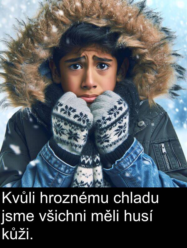 chladu: Kvůli hroznému chladu jsme všichni měli husí kůži.