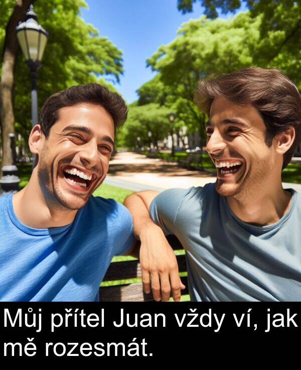 vždy: Můj přítel Juan vždy ví, jak mě rozesmát.