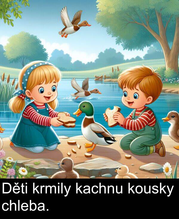 kachnu: Děti krmily kachnu kousky chleba.