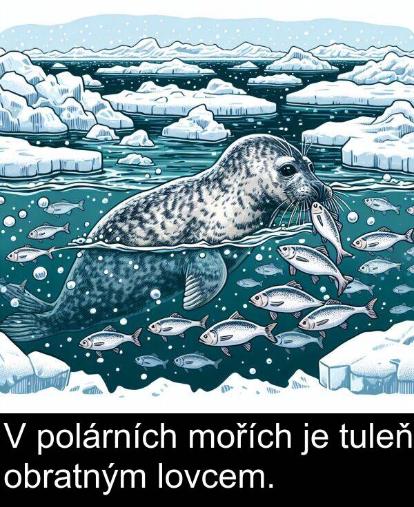 polárních: V polárních mořích je tuleň obratným lovcem.