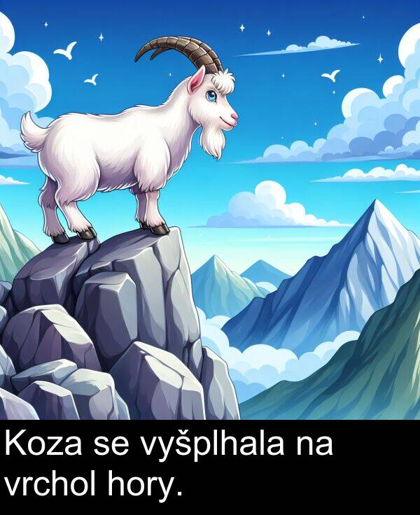 hory: Koza se vyšplhala na vrchol hory.