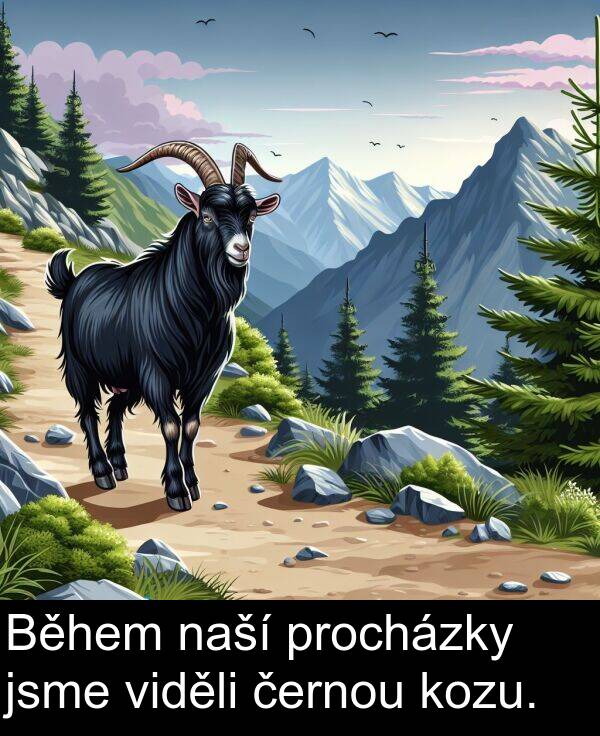 černou: Během naší procházky jsme viděli černou kozu.