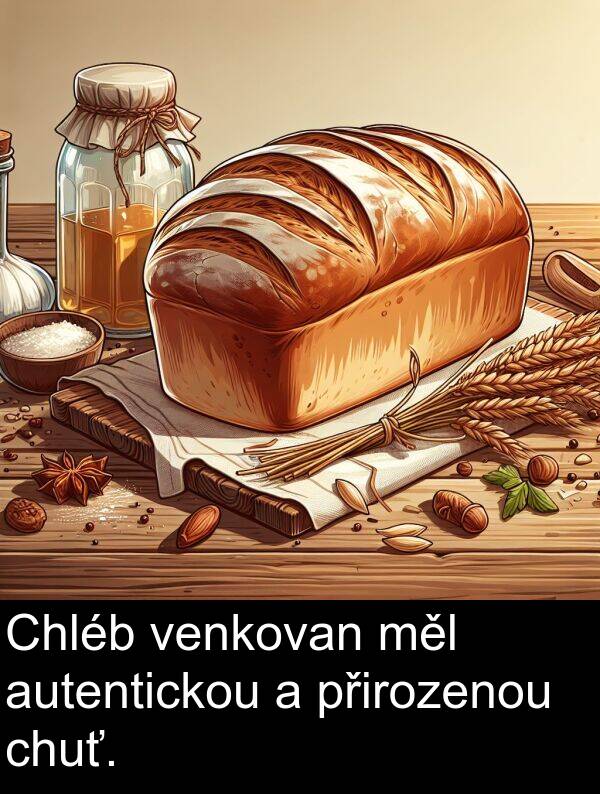 autentickou: Chléb venkovan měl autentickou a přirozenou chuť.