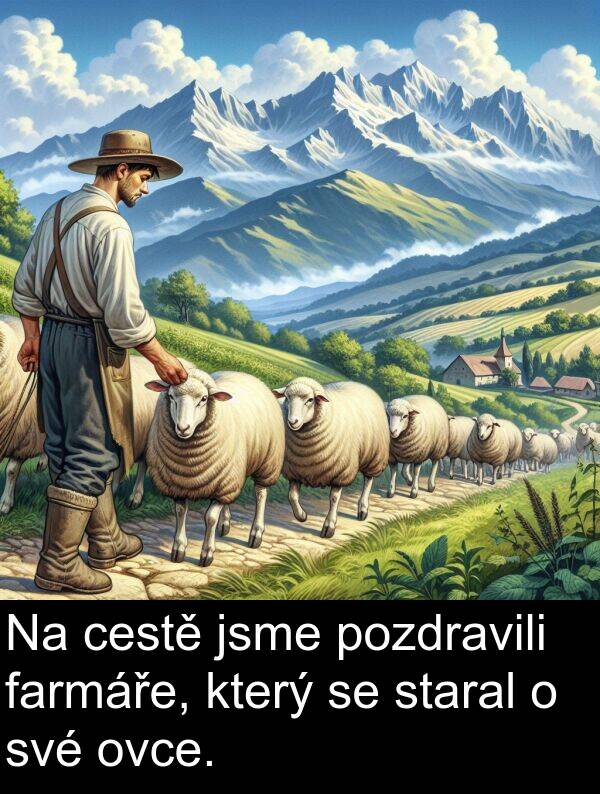 cestě: Na cestě jsme pozdravili farmáře, který se staral o své ovce.