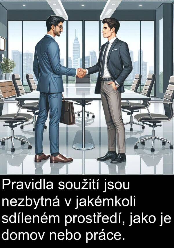 sdíleném: Pravidla soužití jsou nezbytná v jakémkoli sdíleném prostředí, jako je domov nebo práce.