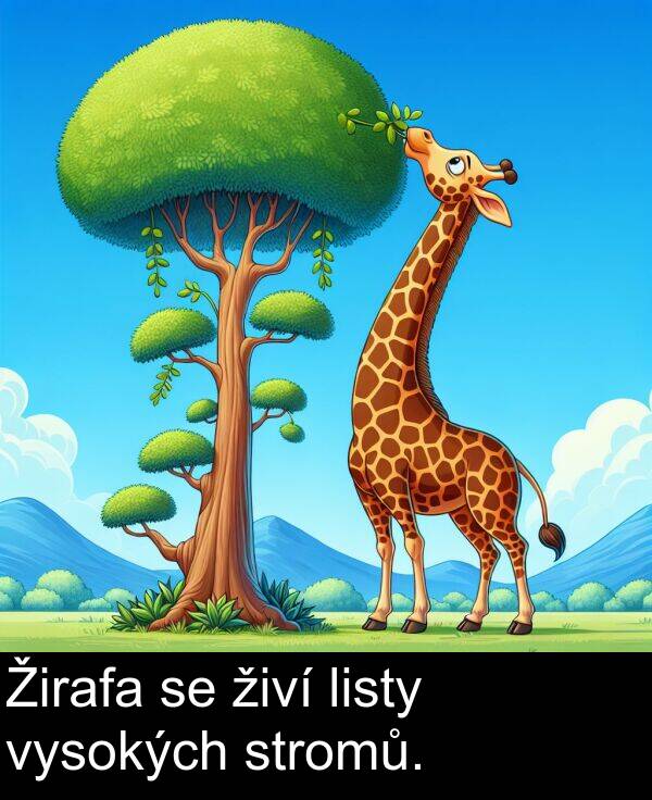 živí: Žirafa se živí listy vysokých stromů.