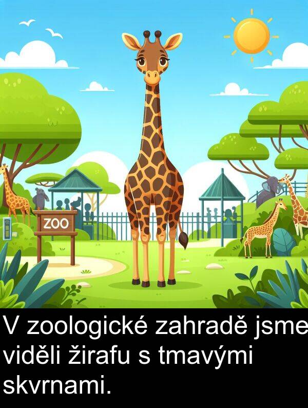 žirafu: V zoologické zahradě jsme viděli žirafu s tmavými skvrnami.
