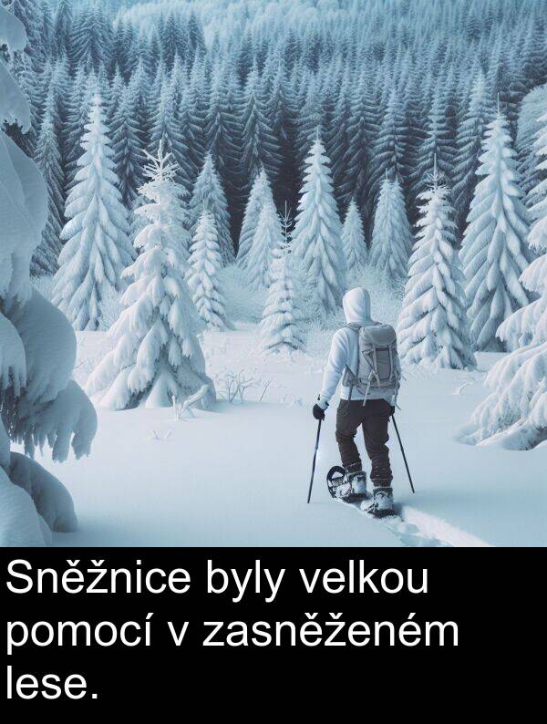 byly: Sněžnice byly velkou pomocí v zasněženém lese.