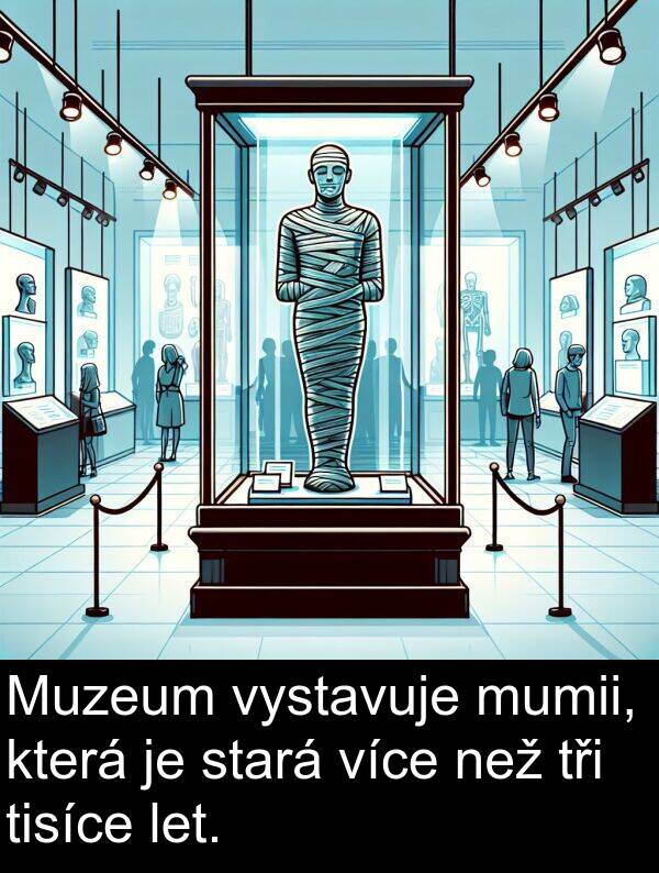 než: Muzeum vystavuje mumii, která je stará více než tři tisíce let.