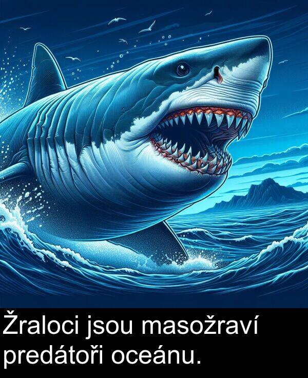 jsou: Žraloci jsou masožraví predátoři oceánu.