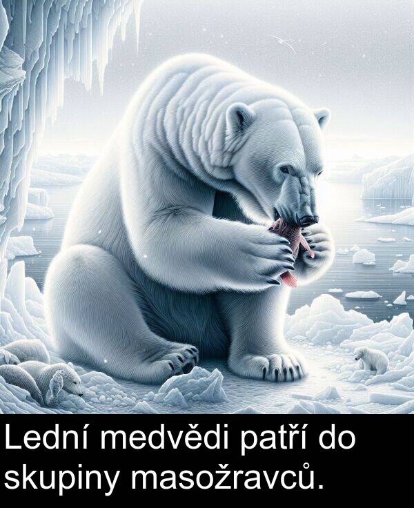 patří: Lední medvědi patří do skupiny masožravců.