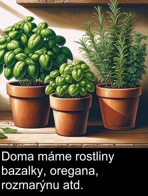 atd: Doma máme rostliny bazalky, oregana, rozmarýnu atd.