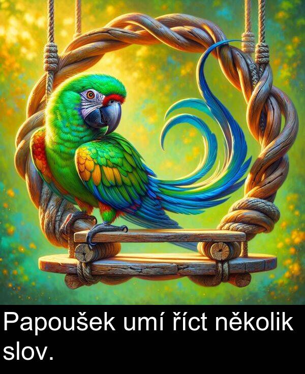 říct: Papoušek umí říct několik slov.