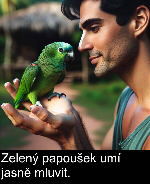 papoušek: Zelený papoušek umí jasně mluvit.