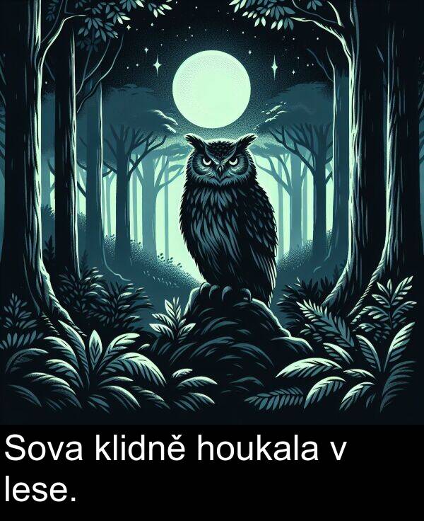 houkala: Sova klidně houkala v lese.