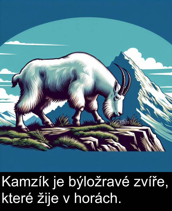 býložravé: Kamzík je býložravé zvíře, které žije v horách.