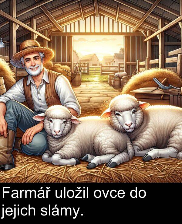 jejich: Farmář uložil ovce do jejich slámy.