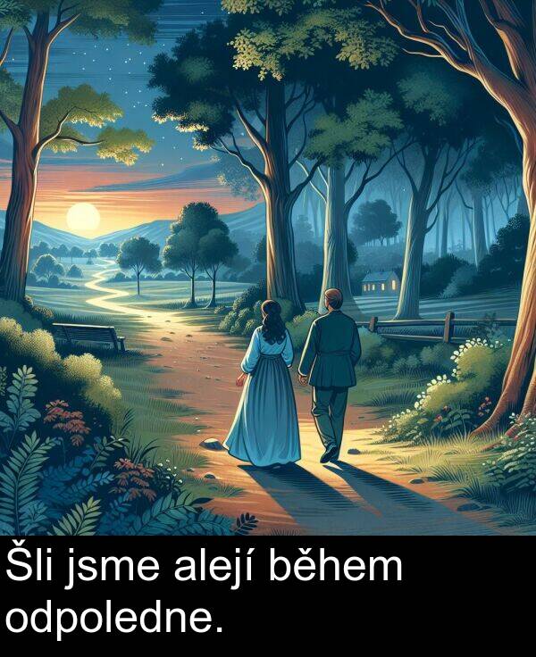 alejí: Šli jsme alejí během odpoledne.