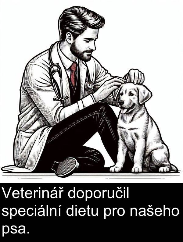 dietu: Veterinář doporučil speciální dietu pro našeho psa.