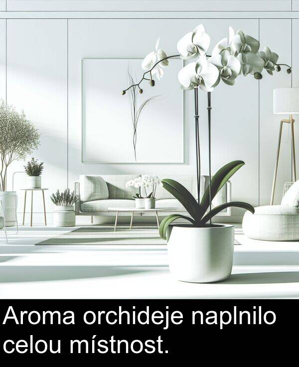 celou: Aroma orchideje naplnilo celou místnost.