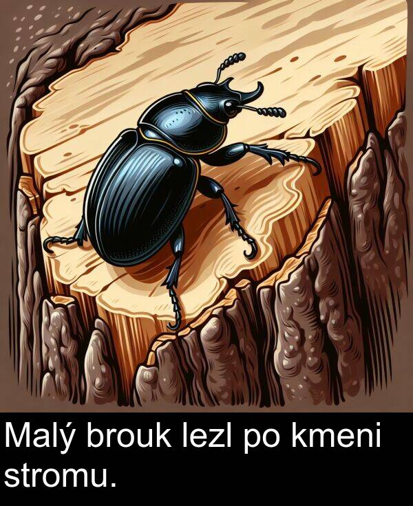 stromu: Malý brouk lezl po kmeni stromu.