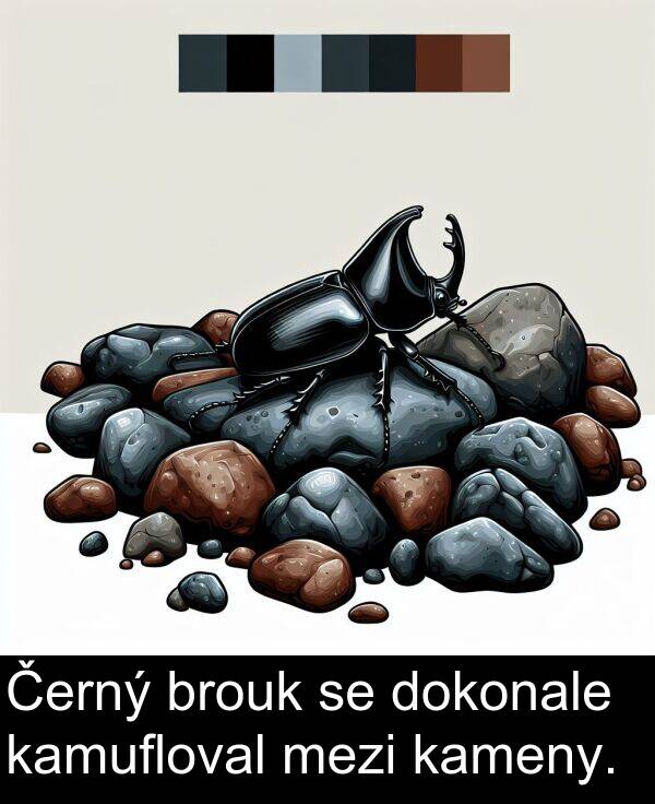 kamufloval: Černý brouk se dokonale kamufloval mezi kameny.