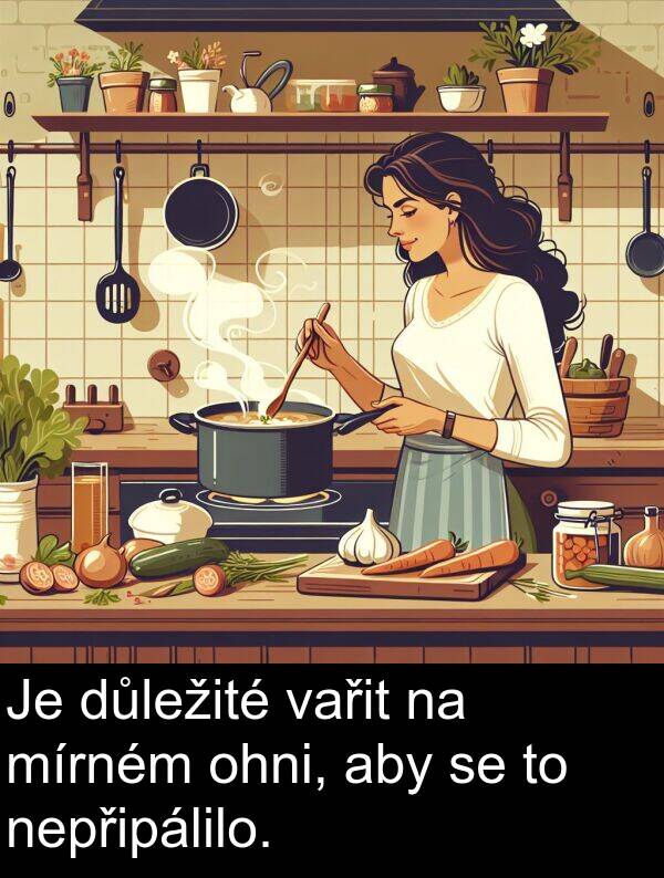 vařit: Je důležité vařit na mírném ohni, aby se to nepřipálilo.