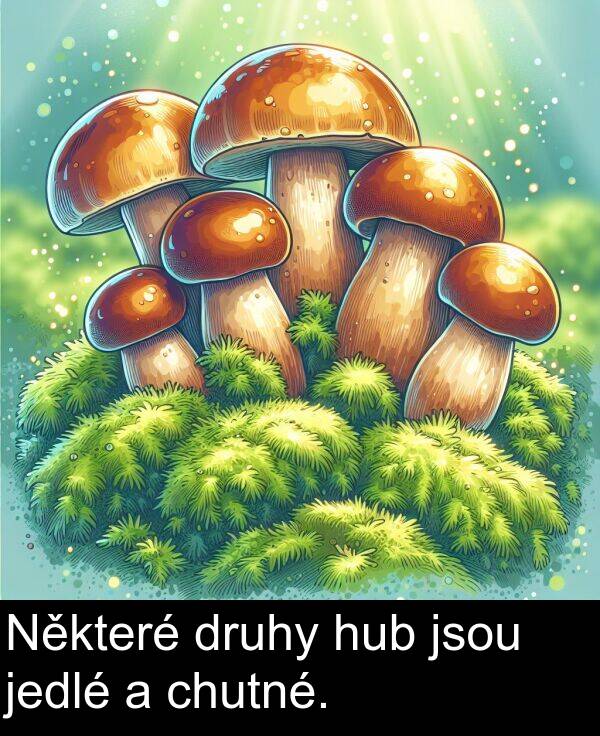 chutné: Některé druhy hub jsou jedlé a chutné.