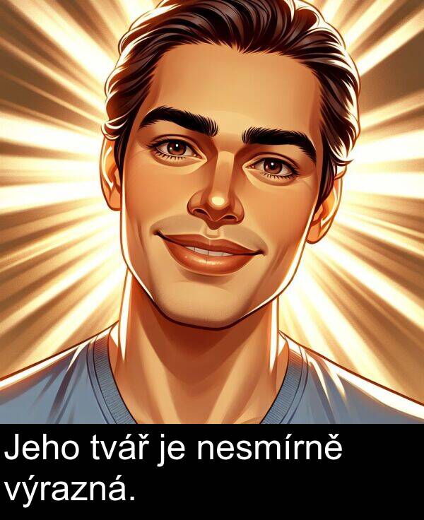 výrazná: Jeho tvář je nesmírně výrazná.