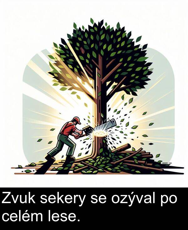 celém: Zvuk sekery se ozýval po celém lese.