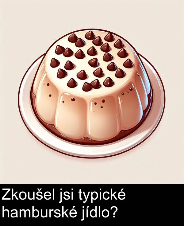 hamburské: Zkoušel jsi typické hamburské jídlo?