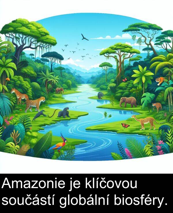 globální: Amazonie je klíčovou součástí globální biosféry.
