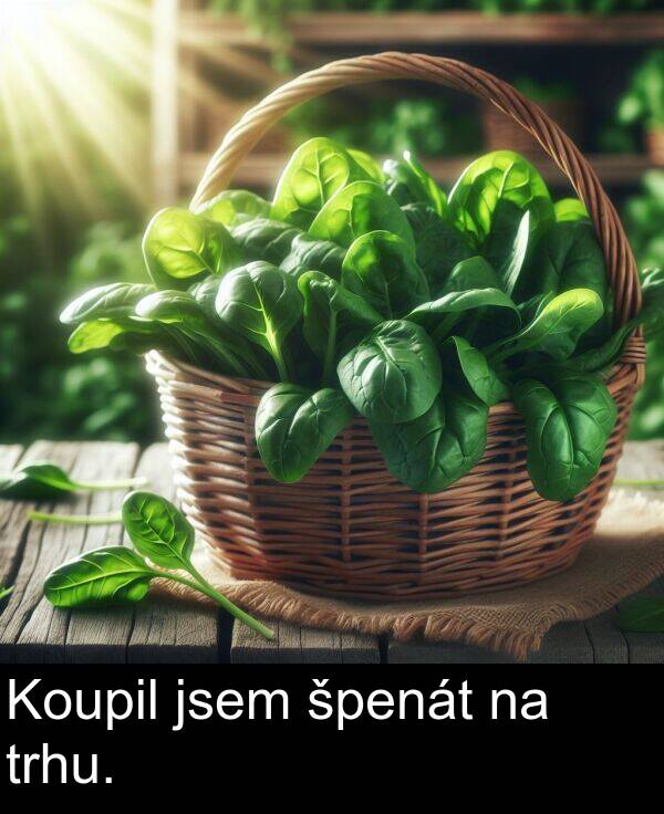 trhu: Koupil jsem špenát na trhu.