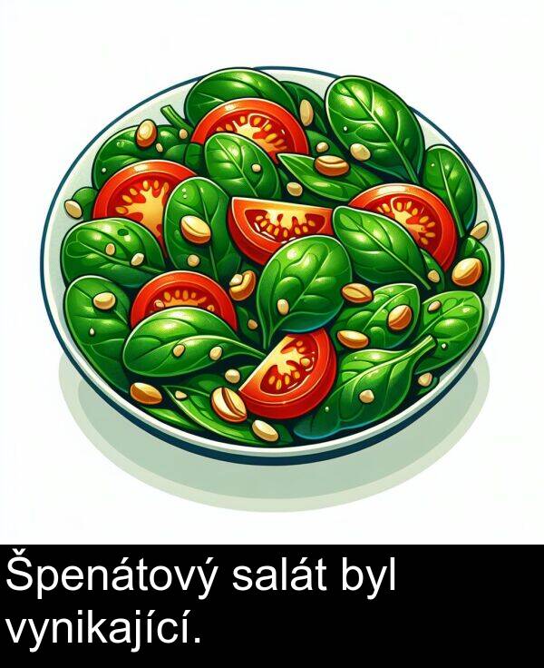 salát: Špenátový salát byl vynikající.