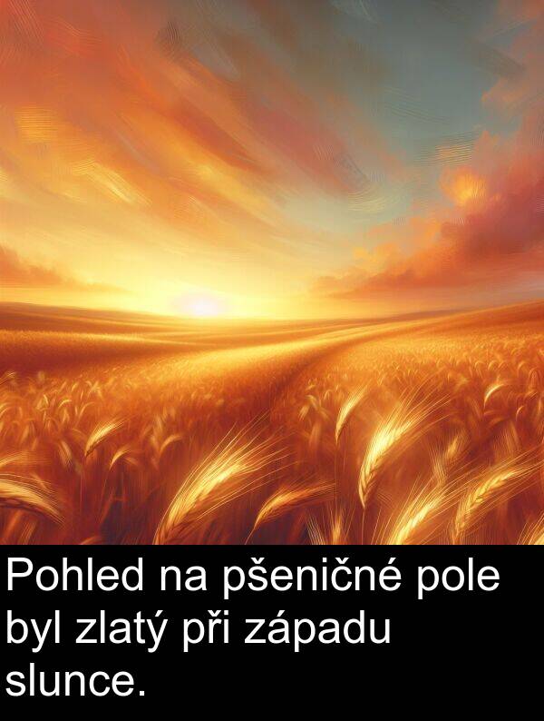 pšeničné: Pohled na pšeničné pole byl zlatý při západu slunce.