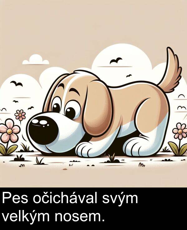 svým: Pes očichával svým velkým nosem.