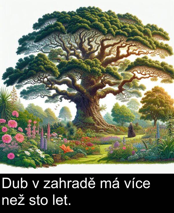 zahradě: Dub v zahradě má více než sto let.