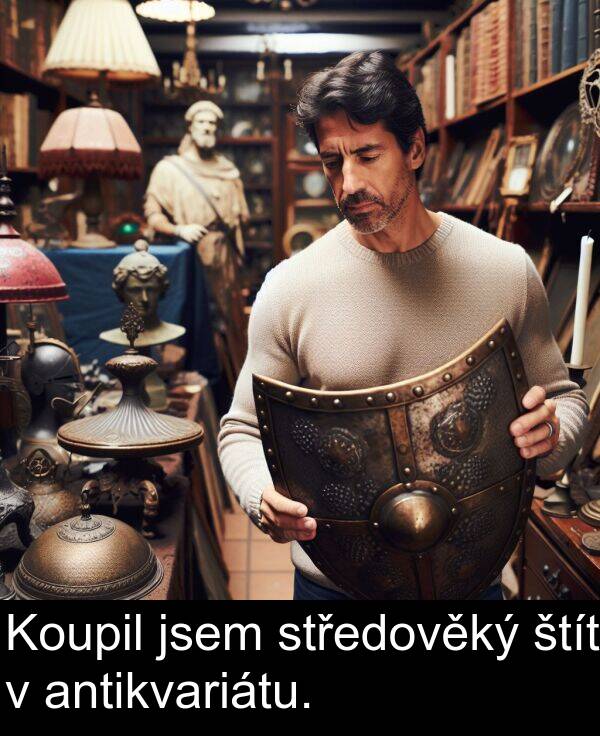 antikvariátu: Koupil jsem středověký štít v antikvariátu.