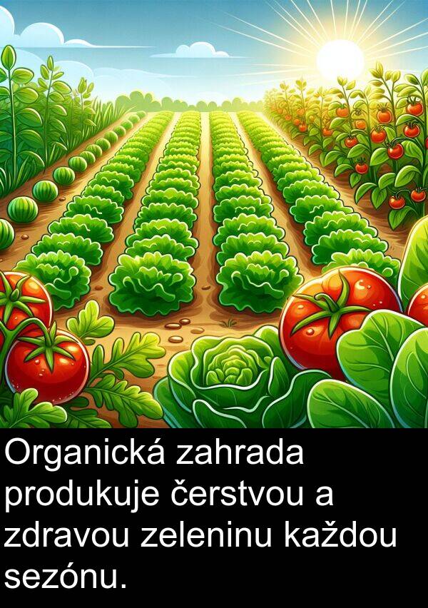 zahrada: Organická zahrada produkuje čerstvou a zdravou zeleninu každou sezónu.