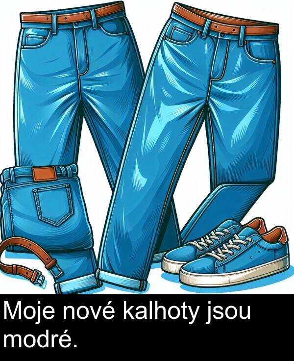 kalhoty: Moje nové kalhoty jsou modré.