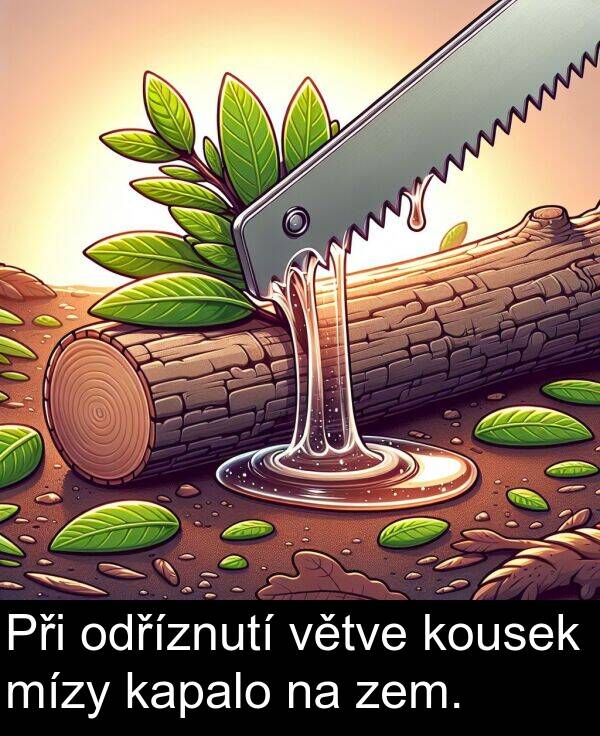 kapalo: Při odříznutí větve kousek mízy kapalo na zem.