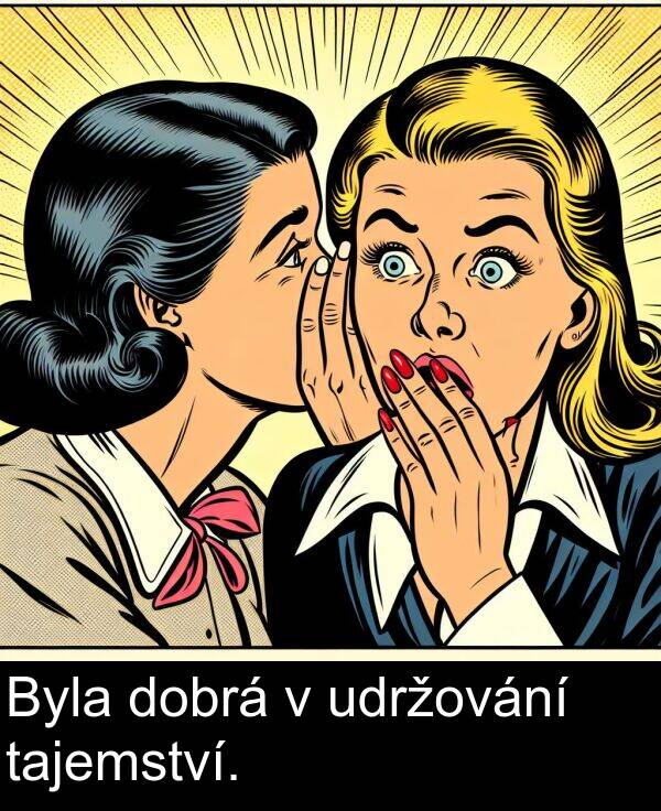 udržování: Byla dobrá v udržování tajemství.