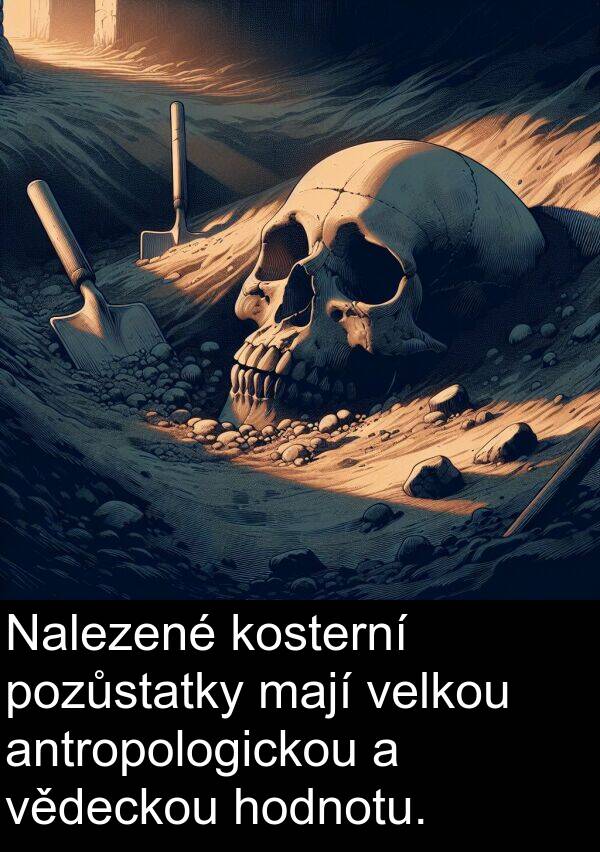 mají: Nalezené kosterní pozůstatky mají velkou antropologickou a vědeckou hodnotu.