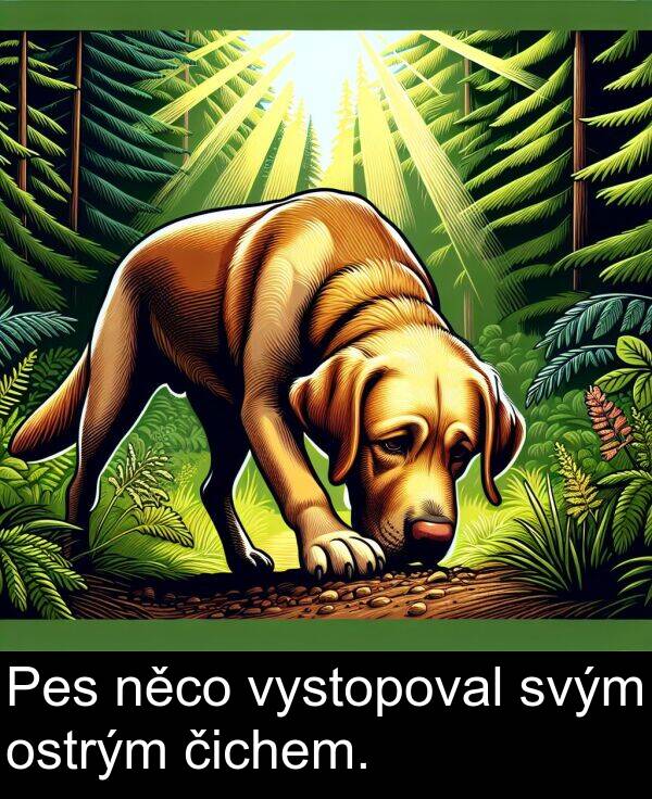 svým: Pes něco vystopoval svým ostrým čichem.