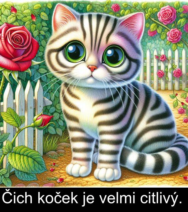 koček: Čich koček je velmi citlivý.